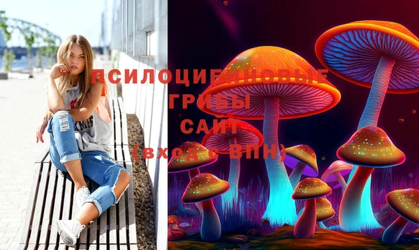 круглые Новодвинск