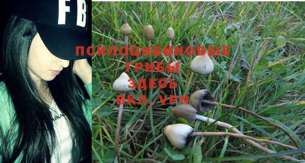 MESCALINE Нефтекумск