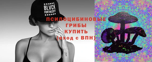 круглые Новодвинск