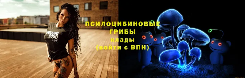 Галлюциногенные грибы Magic Shrooms  kraken рабочий сайт  Сорочинск 